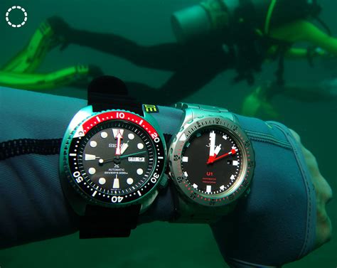 sinn u1 vs rolex submariner|sinn u1 watch review.